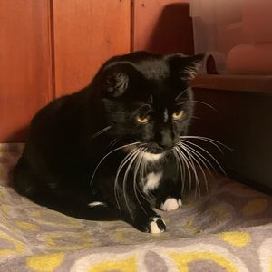 Meet your Posher, Daniel